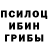 Псилоцибиновые грибы Cubensis Ben12 3