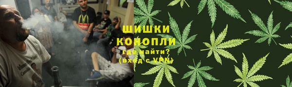 сатива Ельня