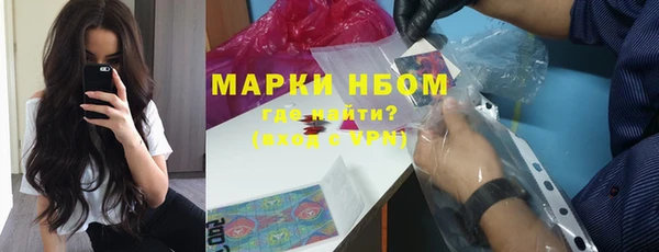 сатива Ельня