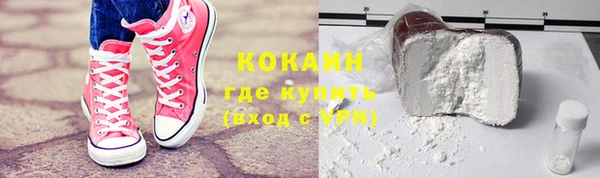 сатива Ельня