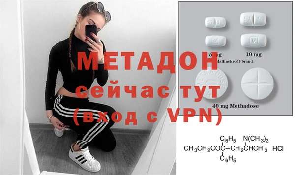 сатива Ельня