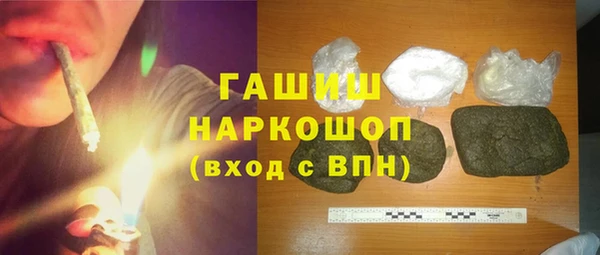 сатива Ельня