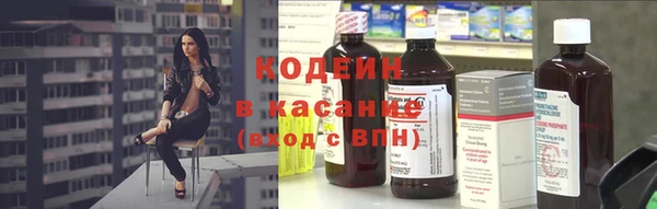 Альфа ПВП Елизово