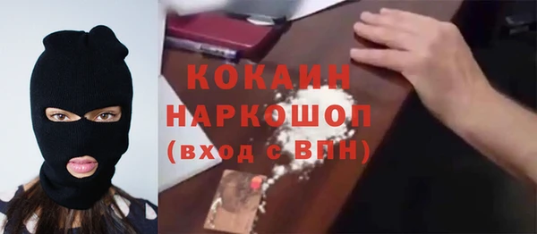 сатива Ельня