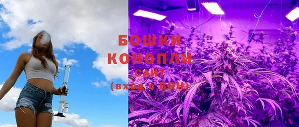 сатива Ельня