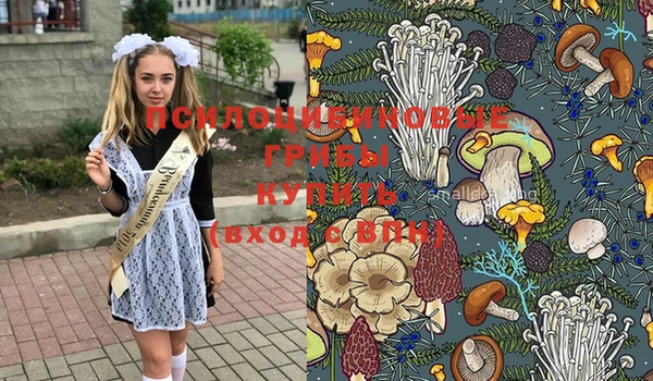 Альфа ПВП Елизово