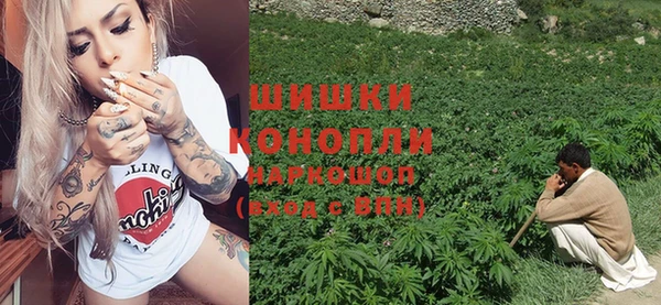 сатива Ельня