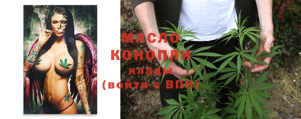 сатива Ельня