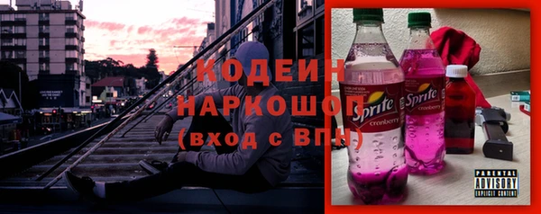 сатива Ельня