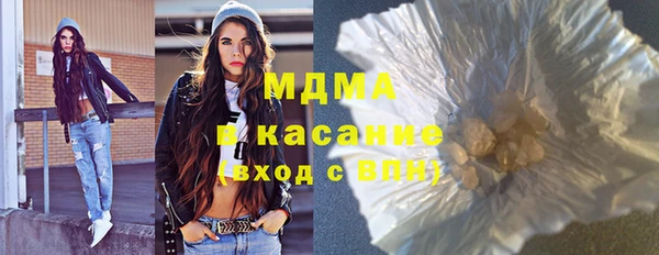 сатива Ельня