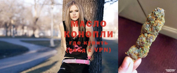 сатива Ельня